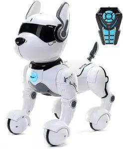 Remote Control Robot Dog Toy