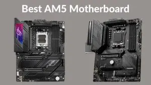 Best AM5 Motherboard