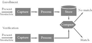 Biometric Sensors Explained: Types & Applications