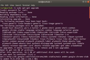 Conquer the Linux Terminal: Master Basic Commands
