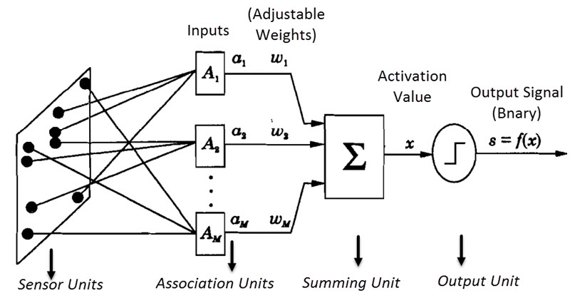 Artificial Neural Networks (ANN) Processing Units