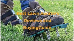 Best Lawn Aerators