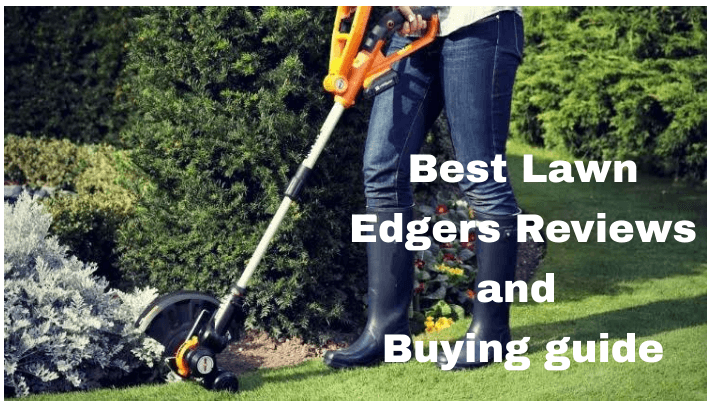 best gas lawn edger 2020