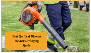 Best Gas Leaf Blowers