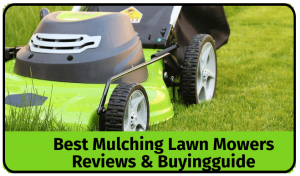 Best Mulching Lawn Mowers To Buy Online