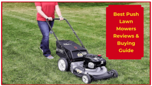 Best Push Lawn Mowers