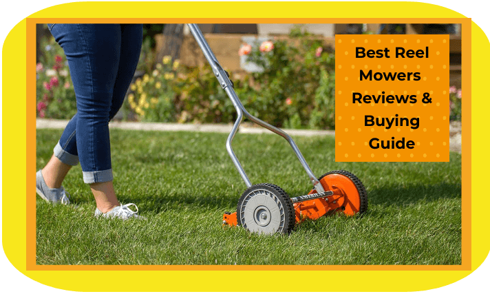 The 7 Best Reel Mowers for Small Lawn : 2021 Reviews & Ultimate Guide