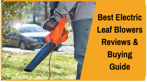 Best electric leaf blowers