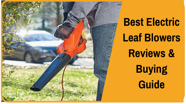 SnapFresh Leaf Blower -20V Cordless Leaf Blower with Battery &  Charger, Electric Leaf Blower for Yard Cleaning, Lightweight Leaf Blower  Battery Powered for Snow Blowing (Battery & Charger Included) : Everything