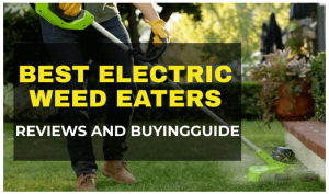 BEST-ELECTRIC-WEED-EATERS
