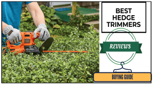 BEST HEDGE TRIMMERS
