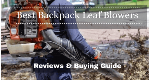 Best Backpack Leaf Blowers Reviews