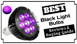 best black light bulbs