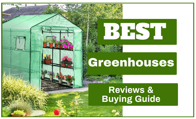 Best Greenhouses