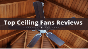 Top Ceiling Fans Reviews