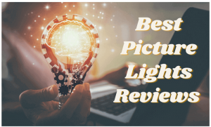 Best Picture Lights Reviews