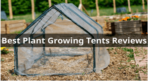 Best Plant Growing Tents Reviews