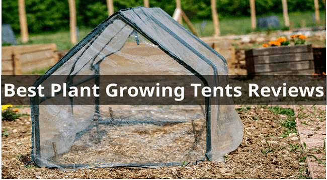 The 10 Best Plant Growing Tents Reviews Buying Guide The 10 Best Plant Growing Tents Reviews Buying Guide