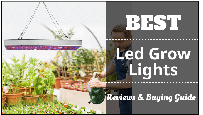 The brilliant indoor benefits of LED grow lights, Gardening advice