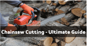 Chainsaw Cutting