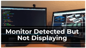 Monitor Detected But Not Displaying