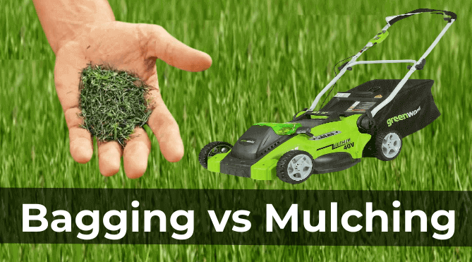 When to mulch or bag lawn clippings