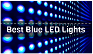 Best Blue LED Lights