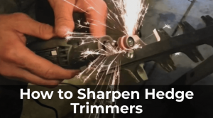 How to Sharpen Hedge Trimmers