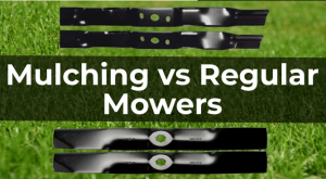 Mulching Mower vs Regular Mower
