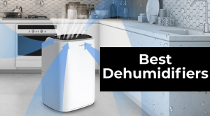 Best Dehumidifiers