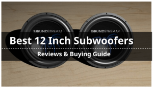 Best 12 Inch Subwoofers