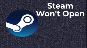 Steam Wont Open