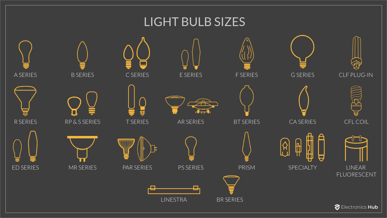 virgin renewable resource fruits Different Light Bulb Sizes, Shapes and Codes | Light Bulb Size Chart