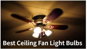 Best Ceiling Fan Light Bulbs