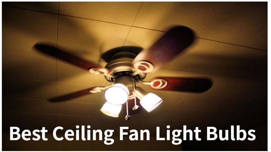 The 7 Best Ceiling Fan Light Bulbs Reviews Ing Guide - What Size Light Bulbs Do Ceiling Fans Use