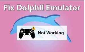 dolphin emulator controller not working