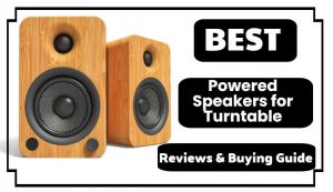 Best Powered Speakers for Turntable