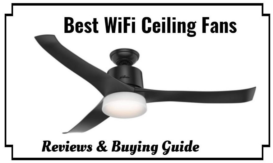The 10 Best Wifi Ceiling Fan Reviews, Ceiling Fan Reviews 2021