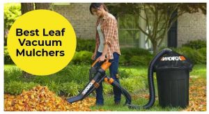 Best Leaf Vacuum Mulchers