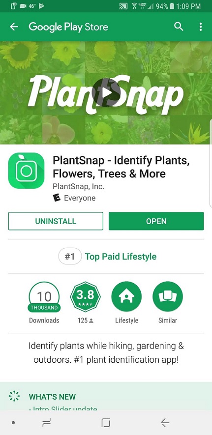 App To Identify Plants (Best To Identify) Hub