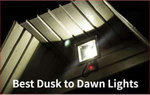 Best Dusk to Dawn Lights