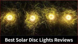 Best Solar Disc Lights Reviews