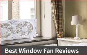Best Window Fans Reviews