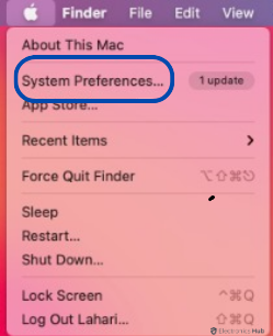 click on system preferences