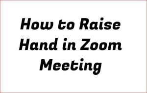 how to raise hand in zoom