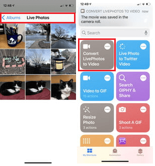 live photos and convert live photos to video