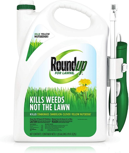 Roundup For Lawns1 Ready to Use