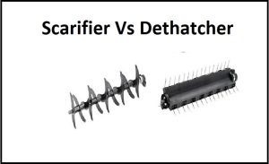 Scarifier Vs Dethatcher