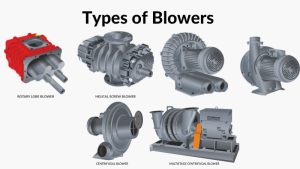Types of Blowers