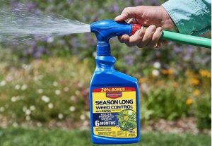 best dandelion killers